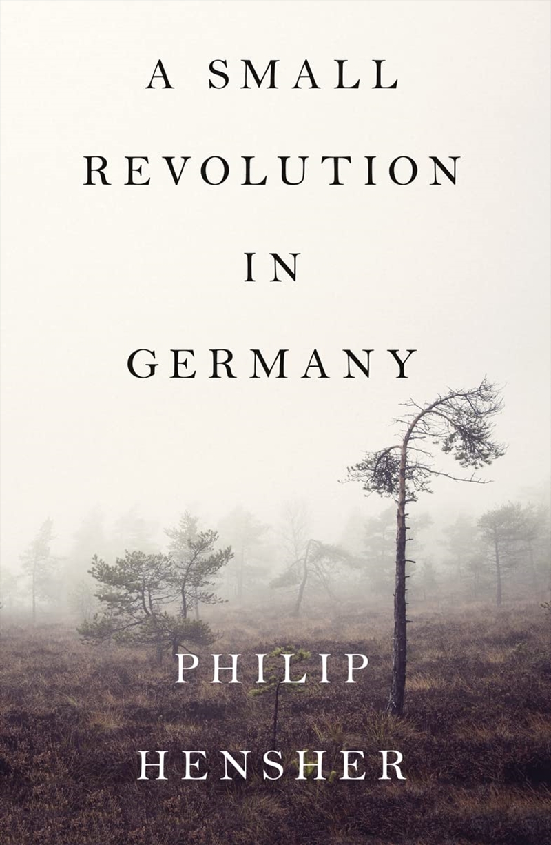 Small Revolution In Germany/Product Detail/General Fiction Books