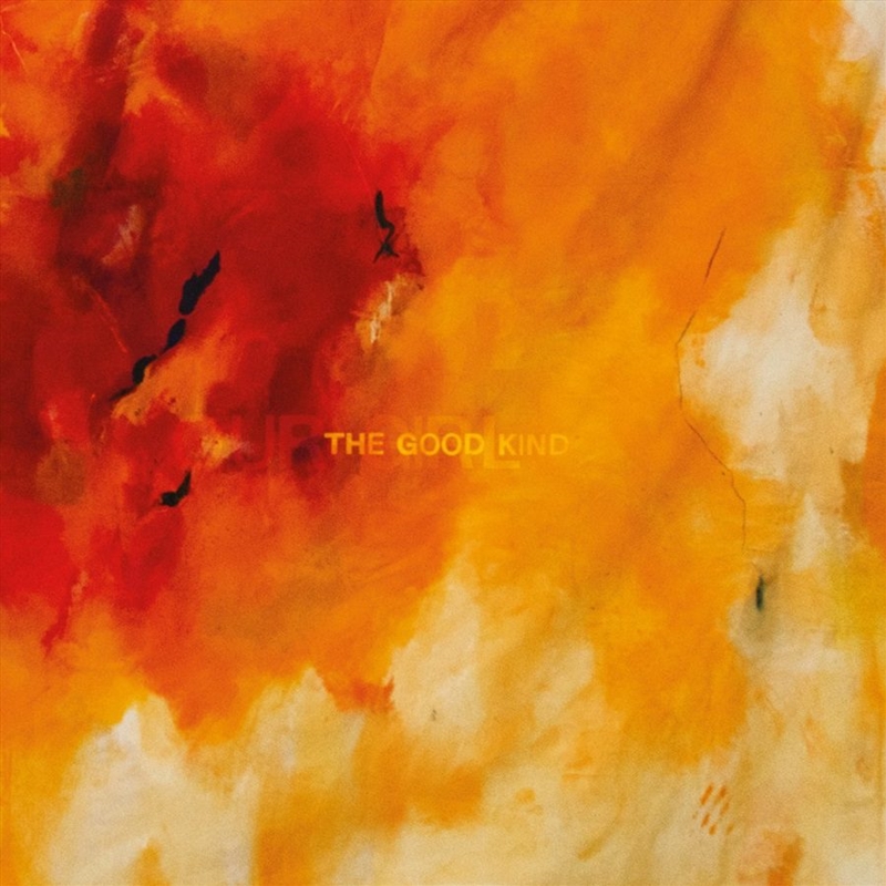 Good Kind/Product Detail/Rock/Pop