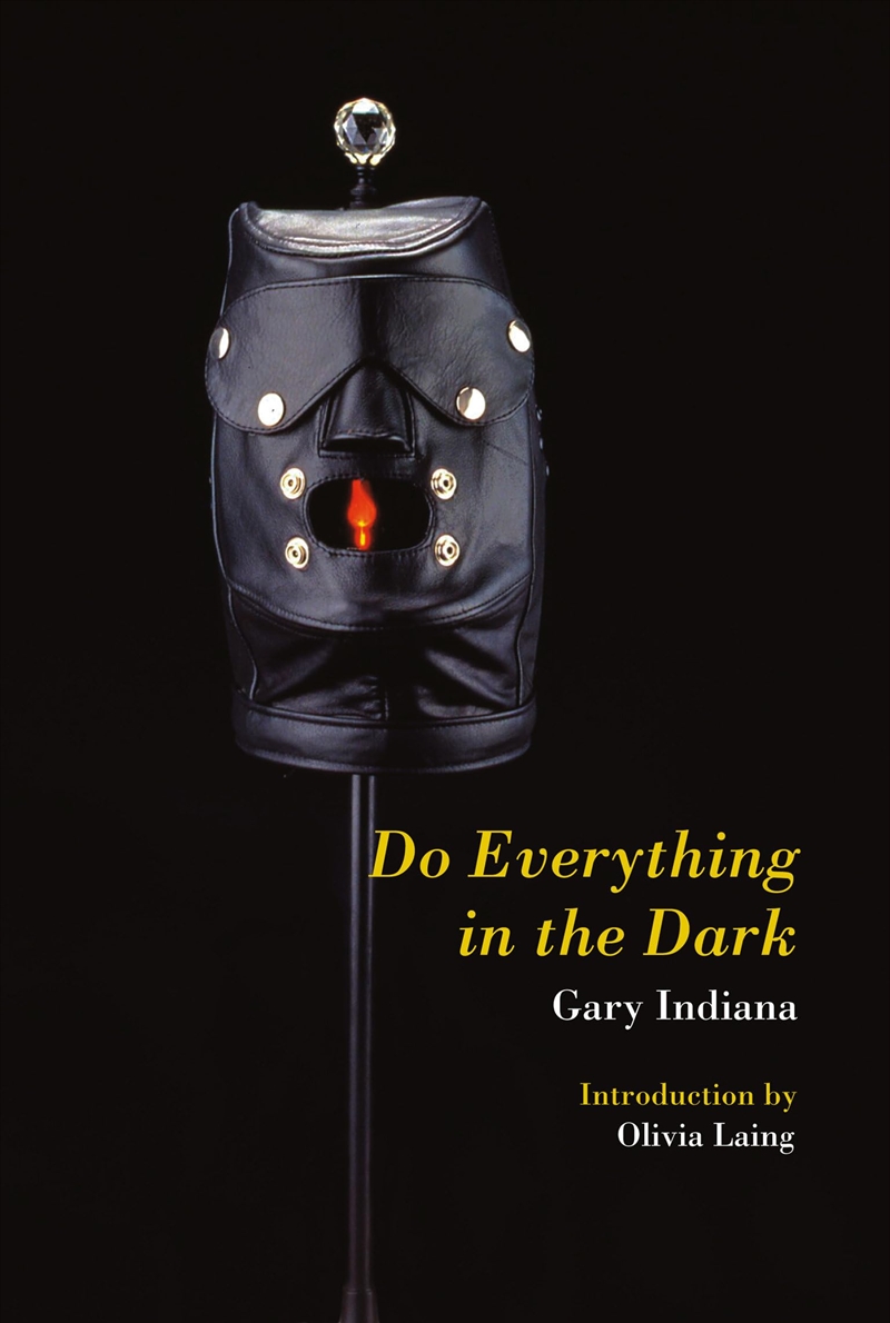 Do Everything In The Dark/Product Detail/General Fiction Books