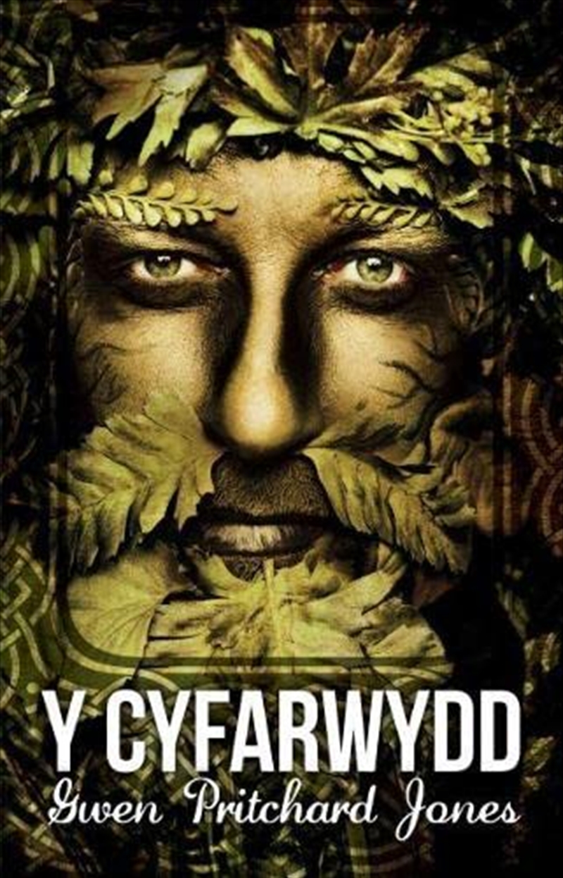 Cyfarwydd Y/Product Detail/General Fiction Books