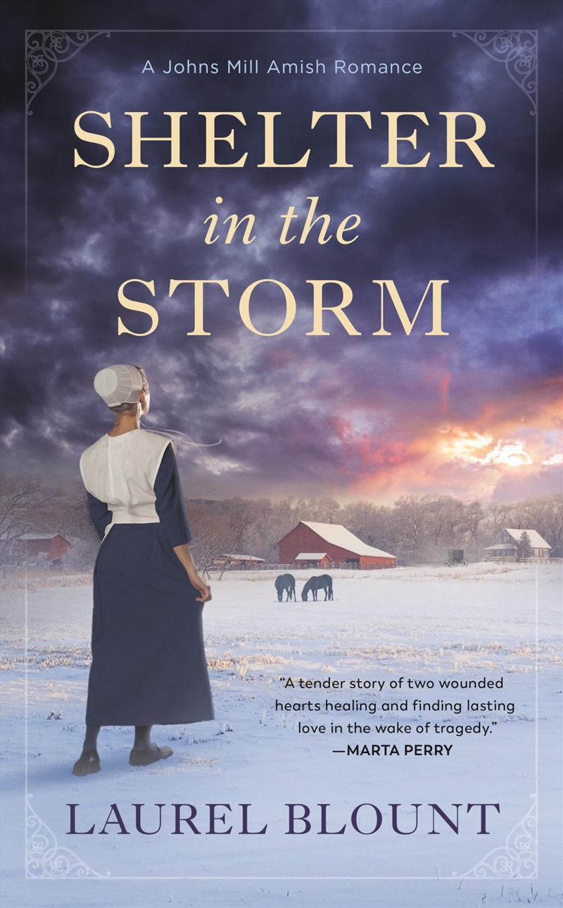 Shelter In The Storm/Product Detail/General Fiction Books