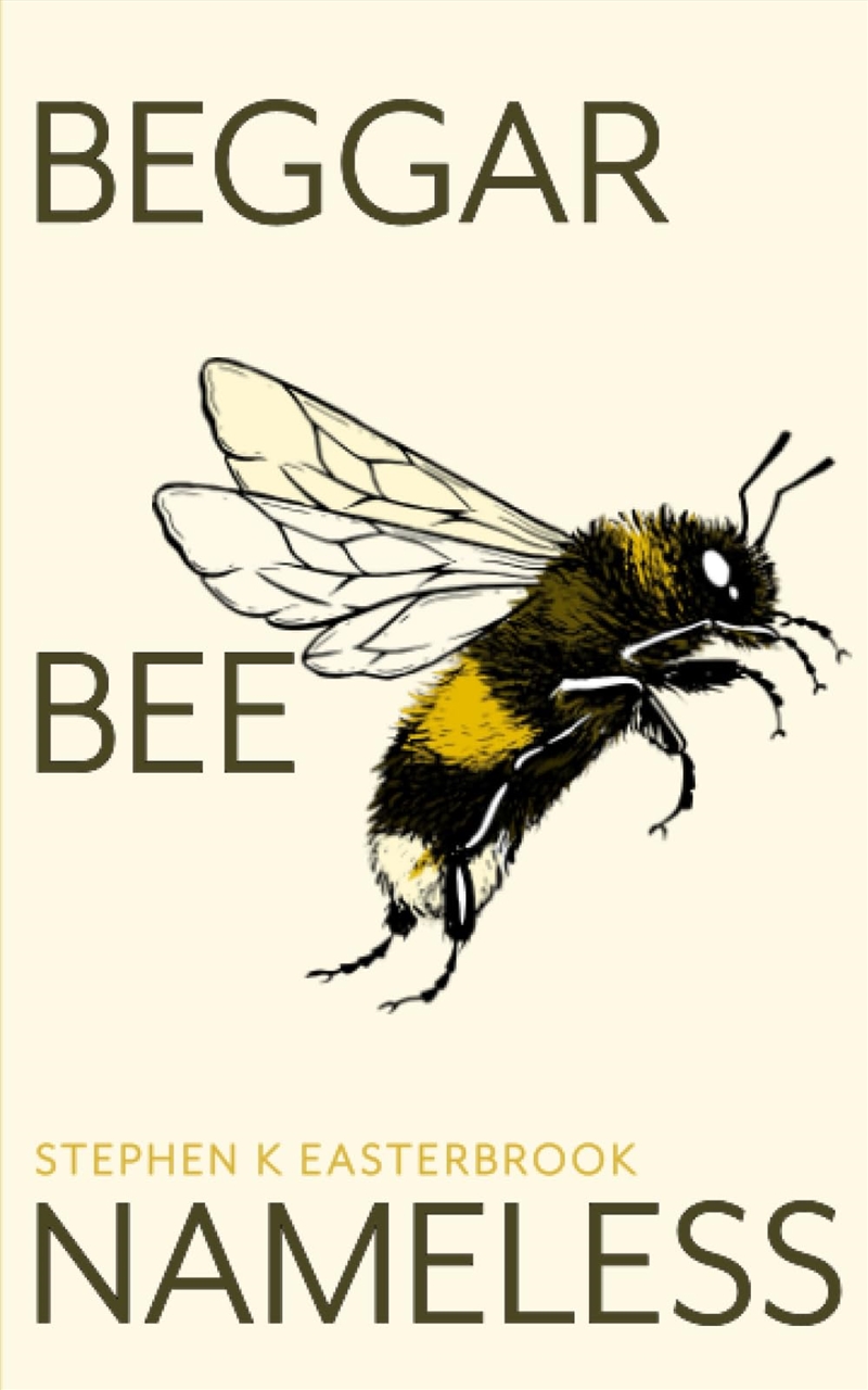 Beggar Bee Nameless/Product Detail/General Fiction Books