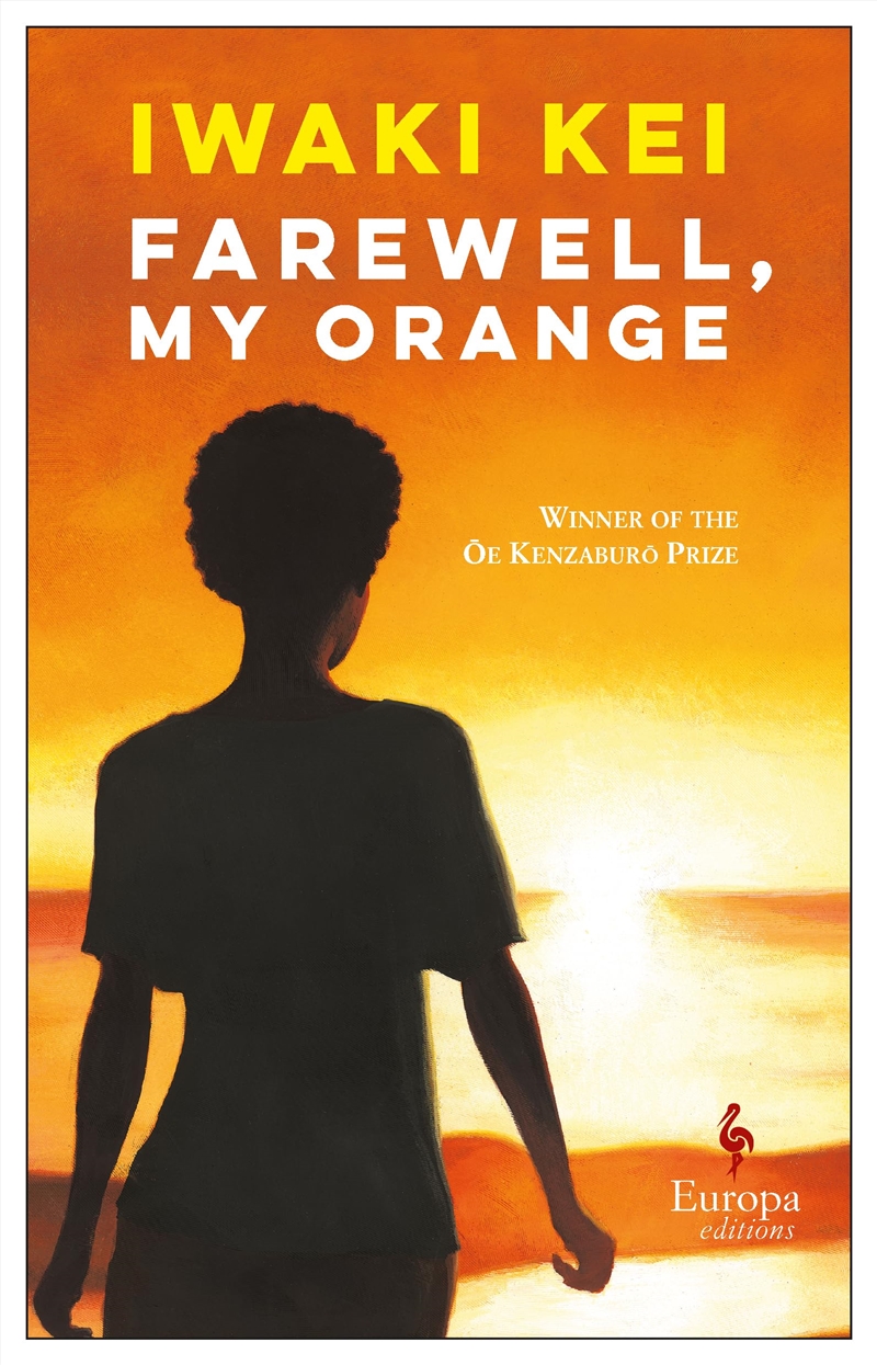 Farewell My Orange/Product Detail/General Fiction Books