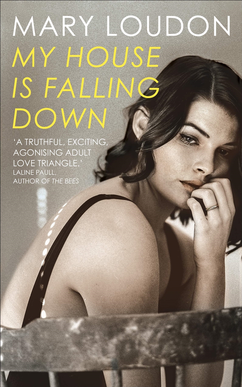 My House Is Falling Down/Product Detail/General Fiction Books