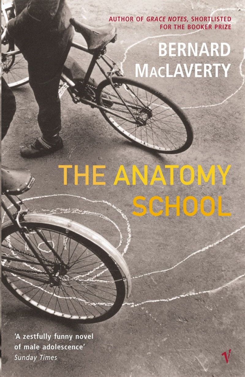Anatomy School The/Product Detail/General Fiction Books