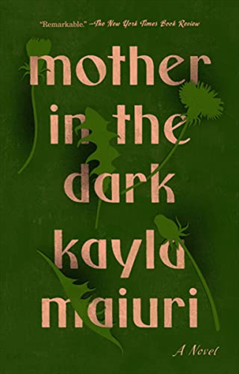 Mother In The Dark/Product Detail/General Fiction Books