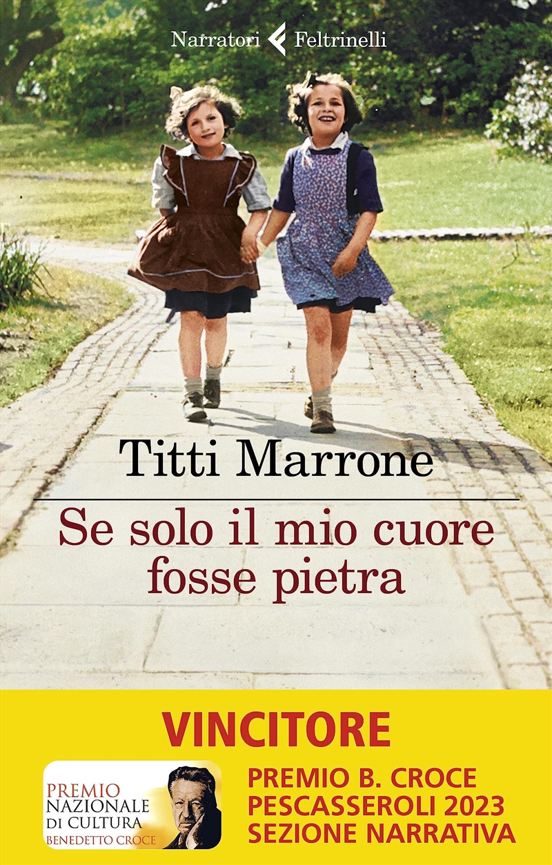 Se Solo Il Mio Cuore Fosse Pietra/Product Detail/General Fiction Books