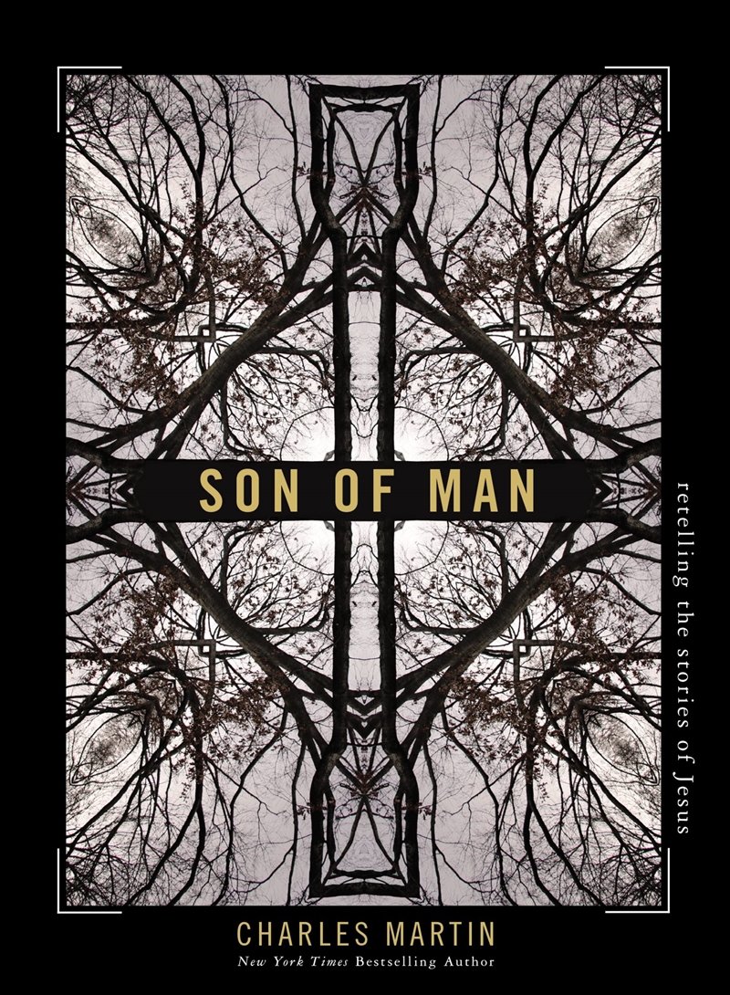 Son Of Man Retelling The Stories Of Jesu/Product Detail/General Fiction Books