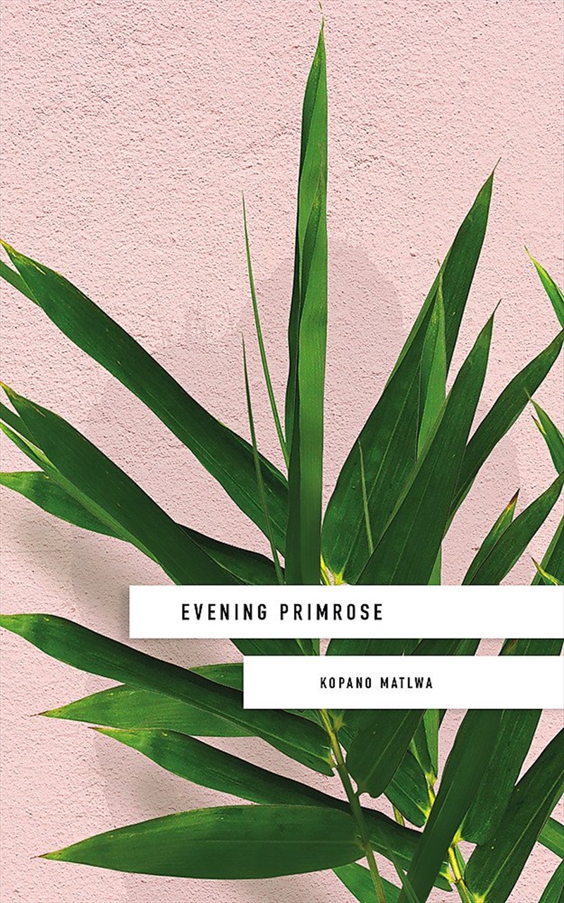 Evening Primrose/Product Detail/General Fiction Books