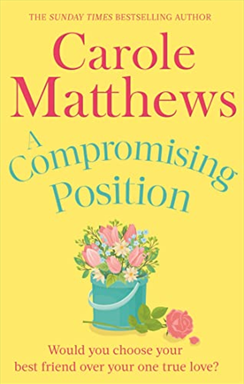 Compromising Position/Product Detail/General Fiction Books