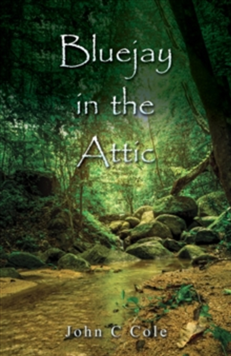 Bluejay In The Attic/Product Detail/General Fiction Books