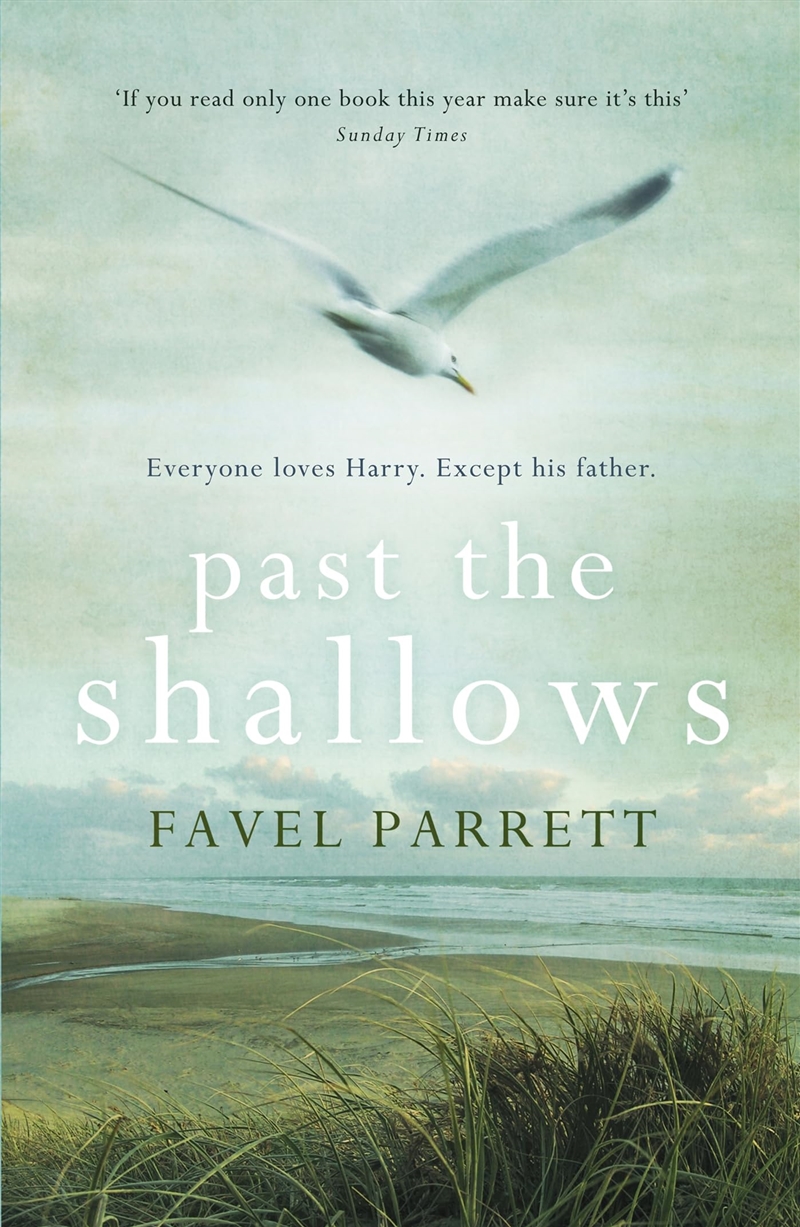 Past The Shallows/Product Detail/General Fiction Books