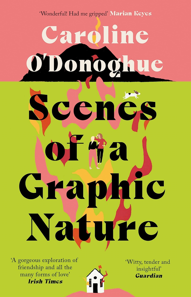 Scenes Of A Graphic Nature/Product Detail/General Fiction Books