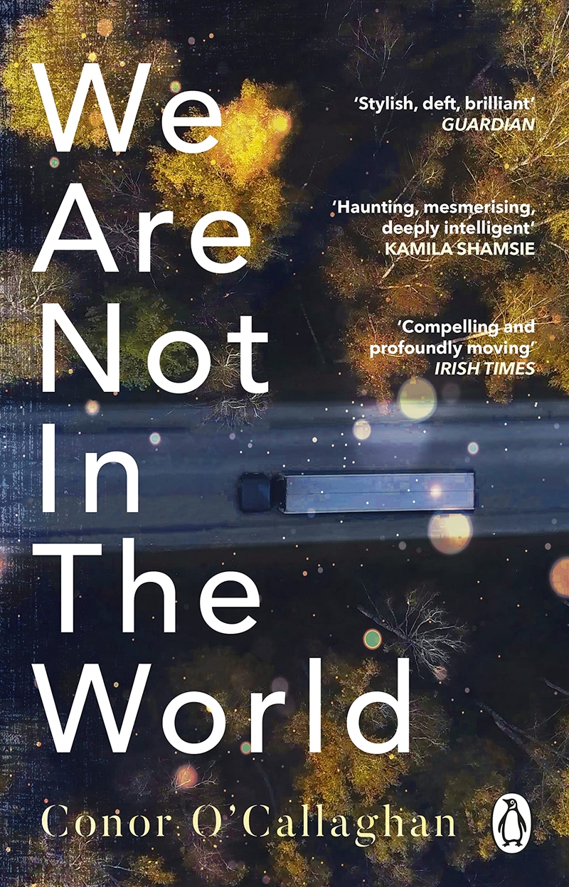 We Are Not In The World/Product Detail/General Fiction Books