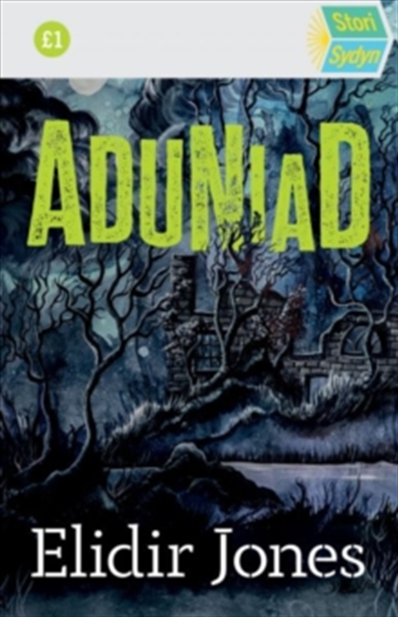 Stori Sydyn Aduniad/Product Detail/General Fiction Books