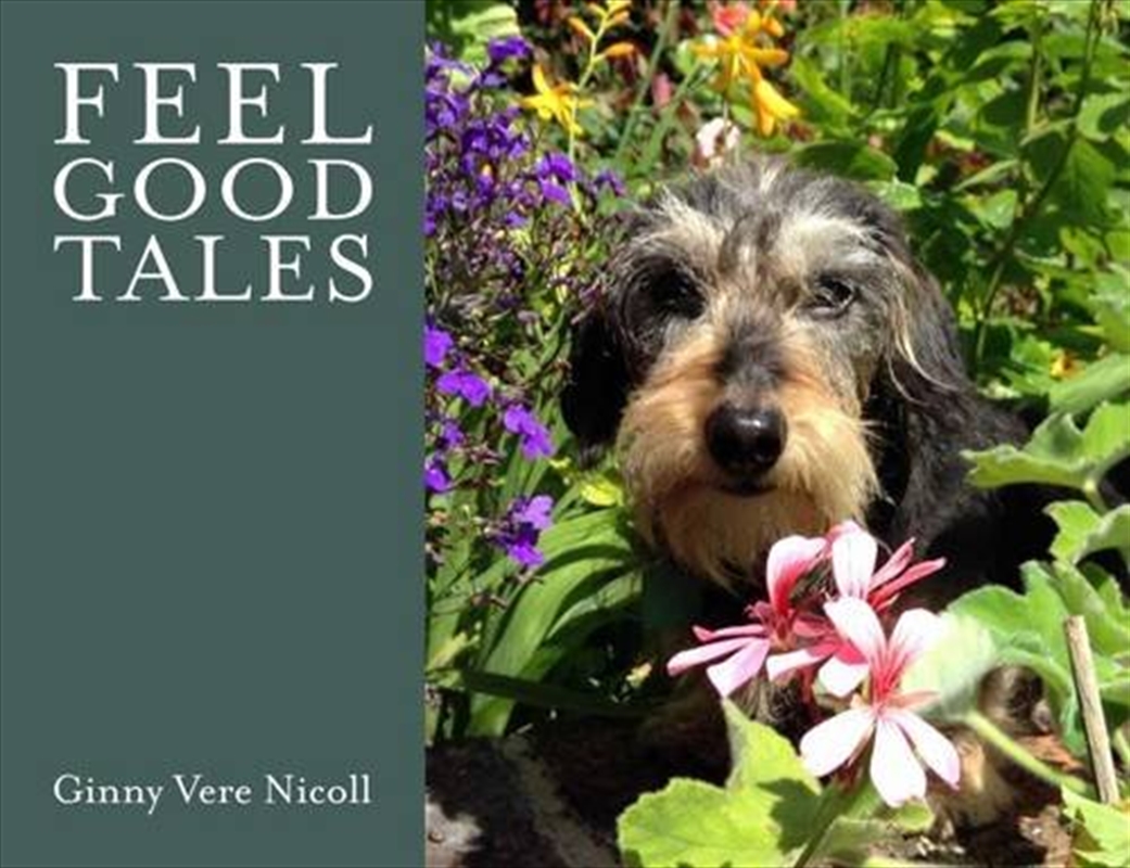 Feel Good Tales/Product Detail/General Fiction Books