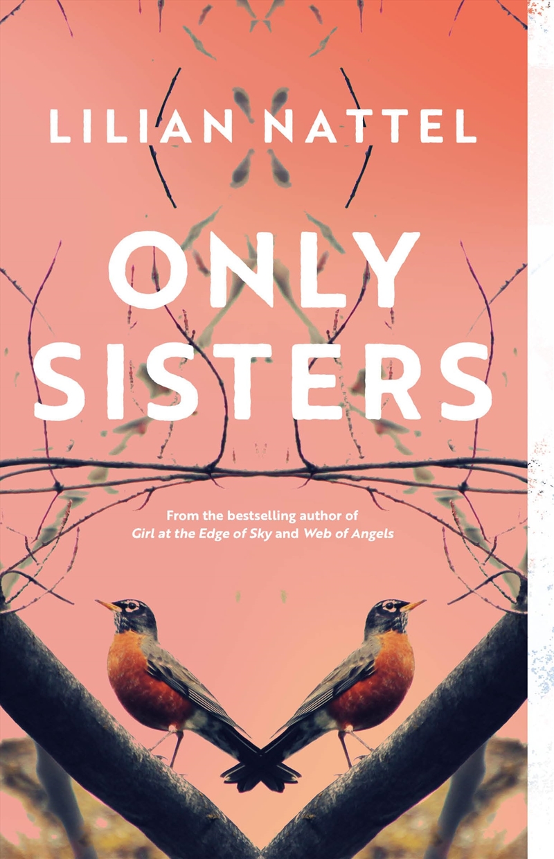 Only Sisters/Product Detail/General Fiction Books