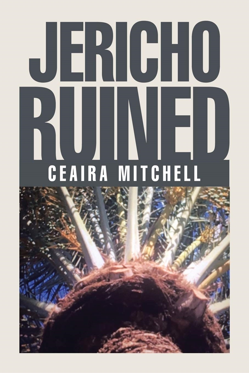 Jericho Ruined/Product Detail/General Fiction Books