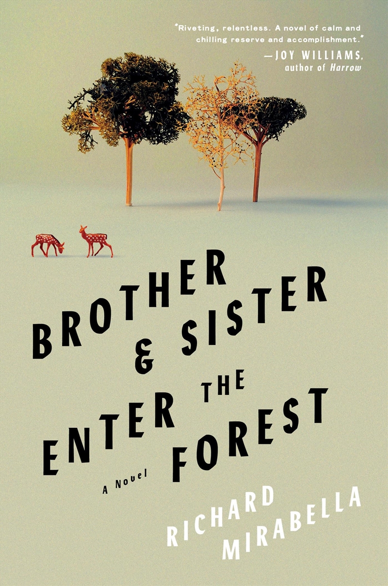 Brother Sister Enter The Forest/Product Detail/General Fiction Books