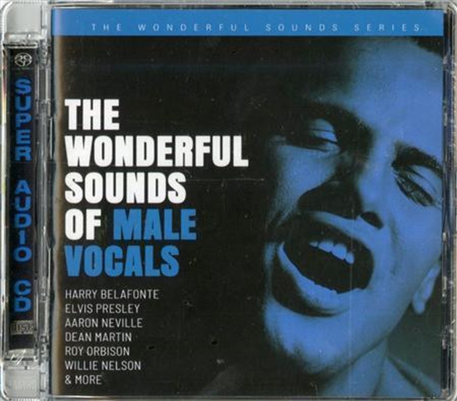 The Wonderful Sounds Of Male Vocals (Various Artists)/Product Detail/Rock/Pop