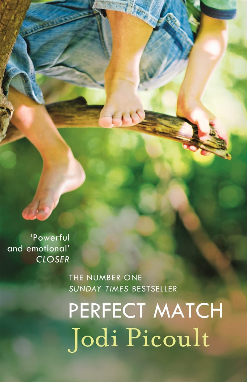 Perfect Match Reissue/Product Detail/General Fiction Books