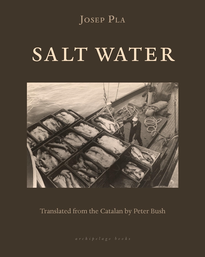 Salt Water/Product Detail/General Fiction Books