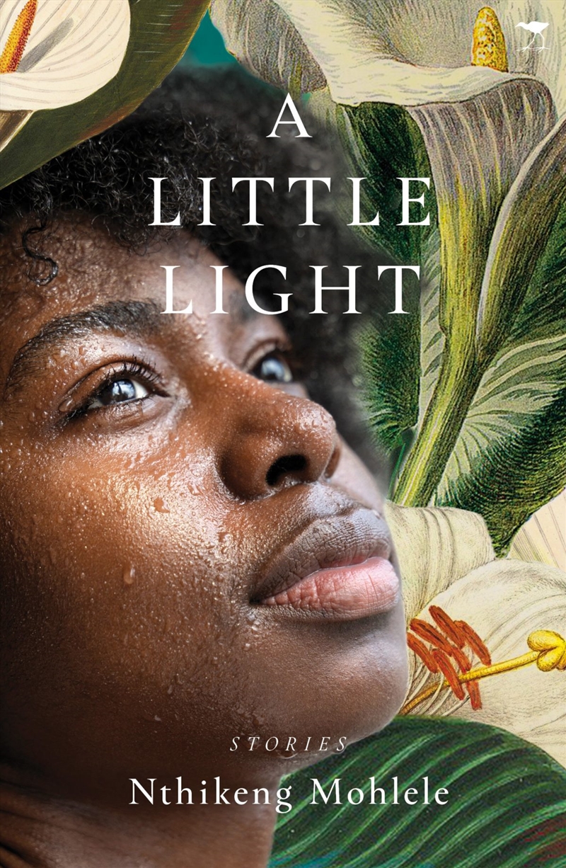 Little Light A/Product Detail/General Fiction Books