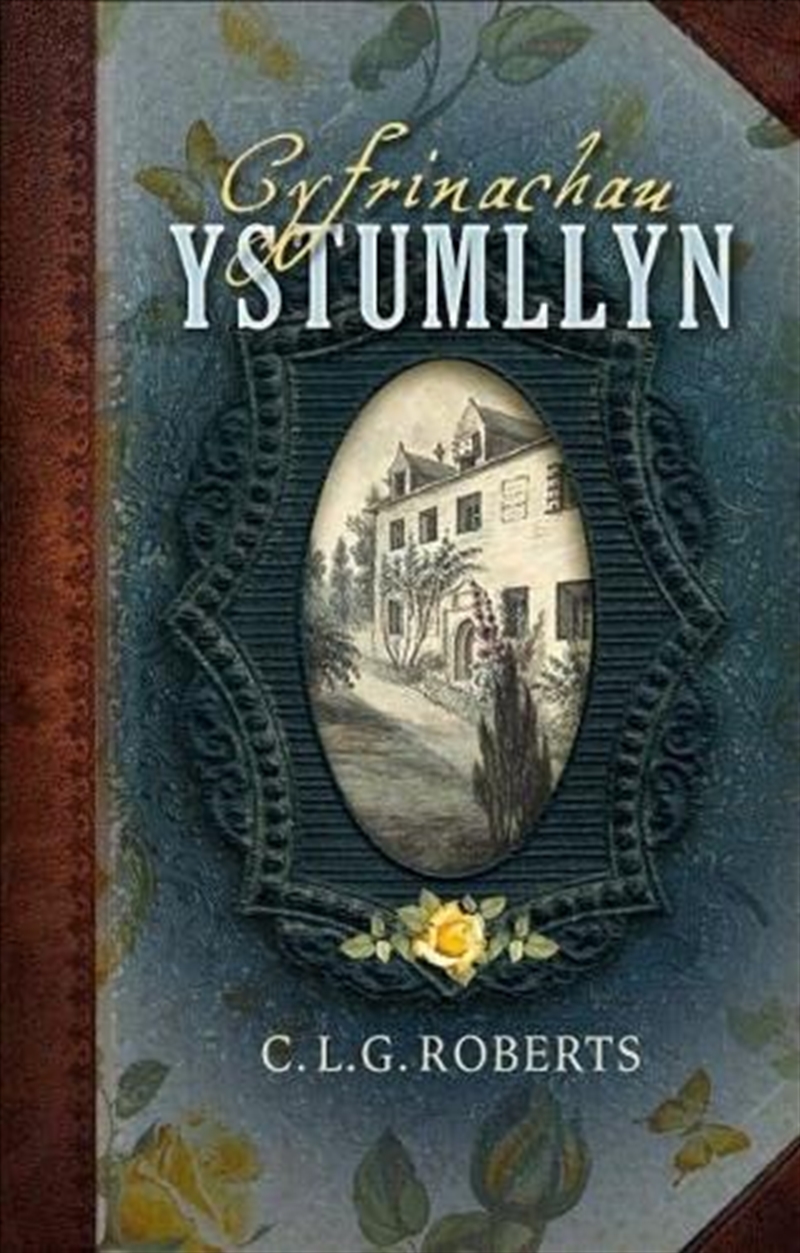 Cyfrinachau Ystumllyn/Product Detail/General Fiction Books