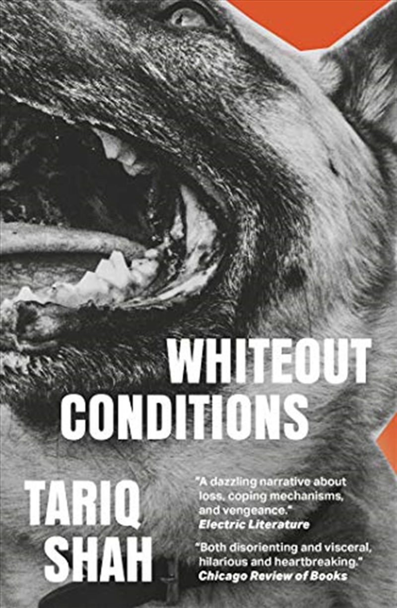 Whiteout Conditions/Product Detail/General Fiction Books