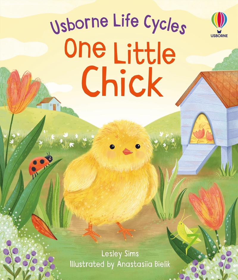 One Little Chick/Product Detail/Early Childhood Fiction Books