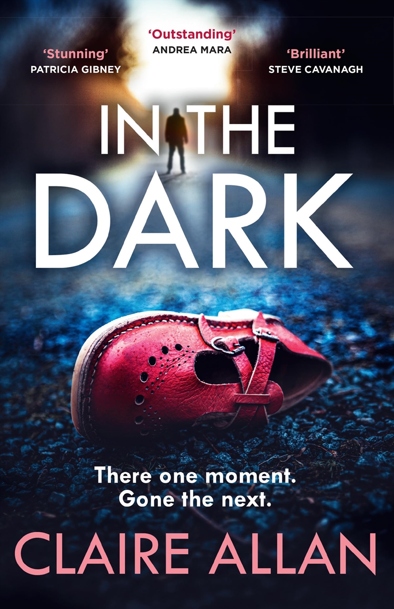 In The Dark/Product Detail/Thrillers & Horror Books