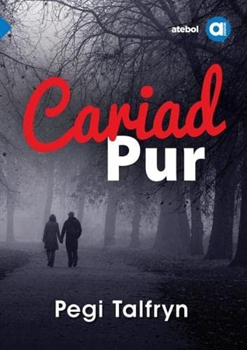 Cyfres Amdani Cariad Pur/Product Detail/General Fiction Books