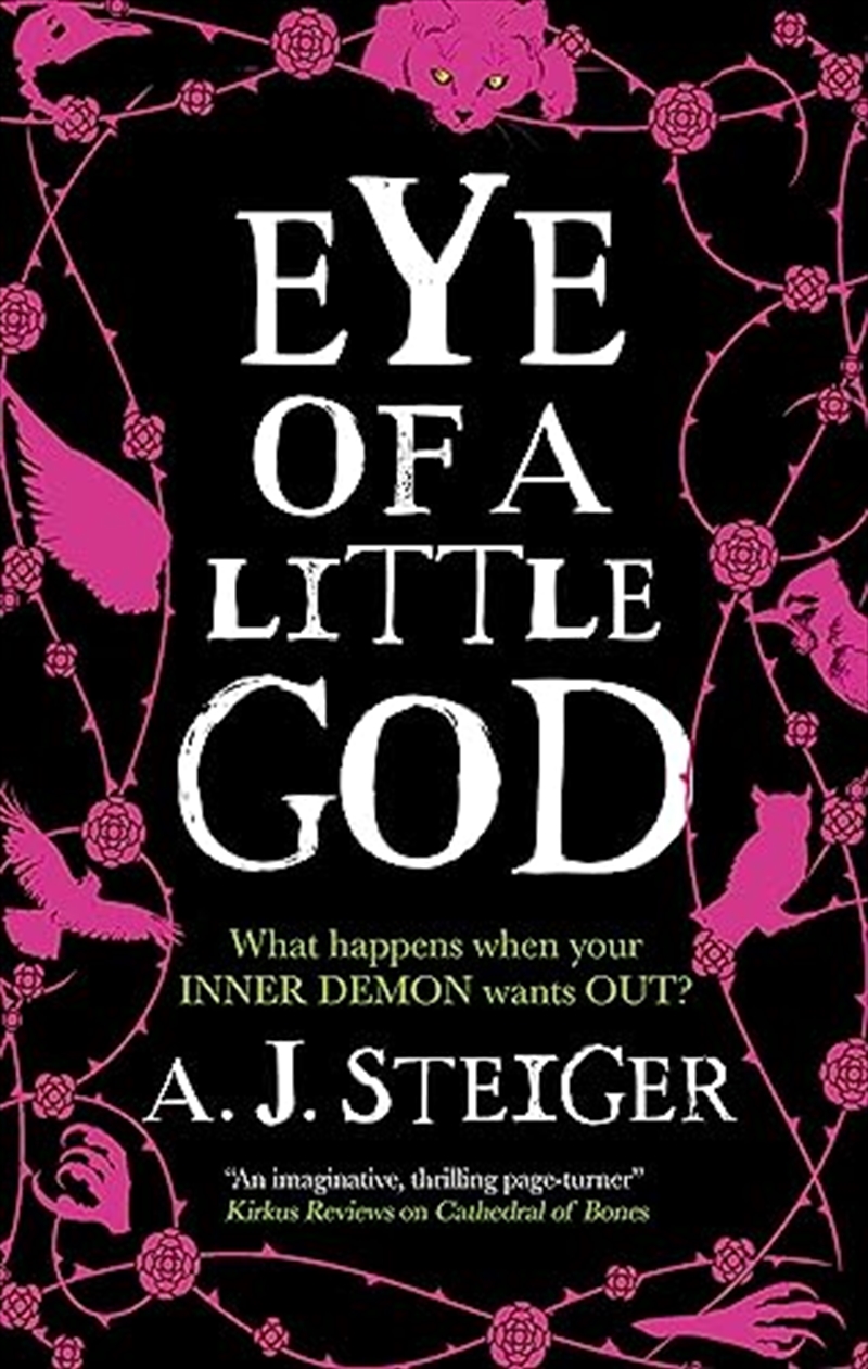 Eye Of A Little God/Product Detail/General Fiction Books
