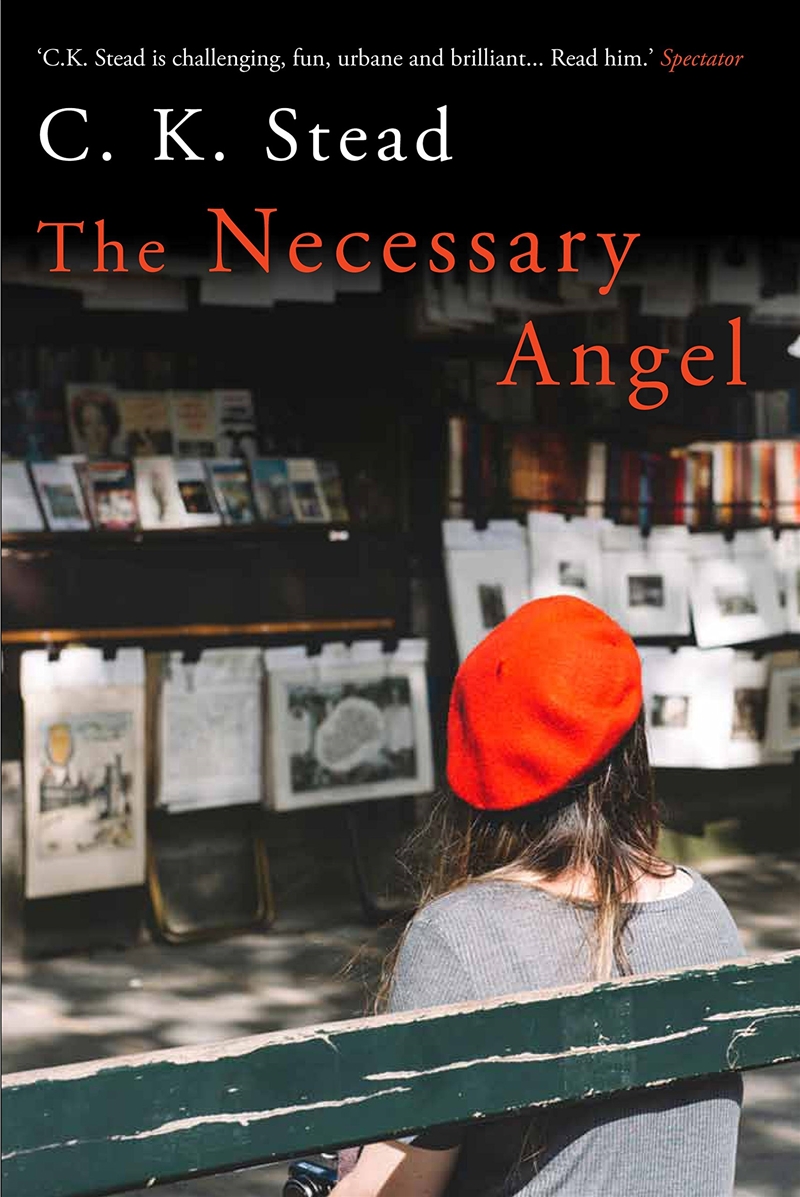 Necessary Angel/Product Detail/General Fiction Books