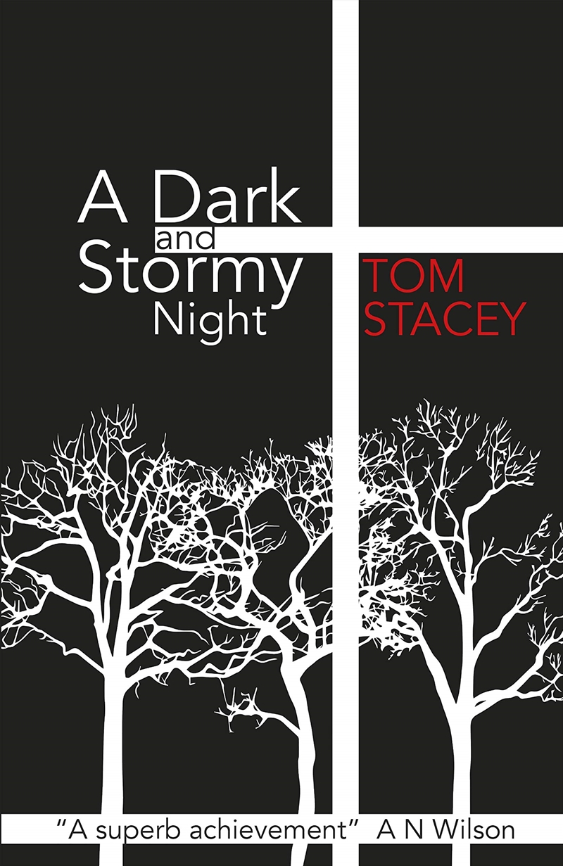 Dark & Stormy Night/Product Detail/General Fiction Books