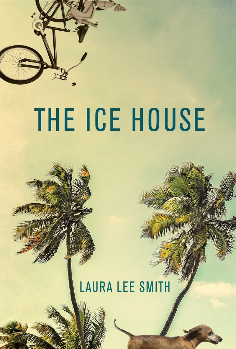 Ice House/Product Detail/General Fiction Books