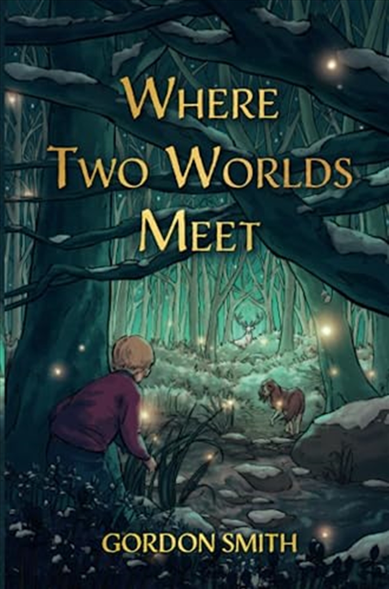 Where Two Worlds Meet/Product Detail/General Fiction Books