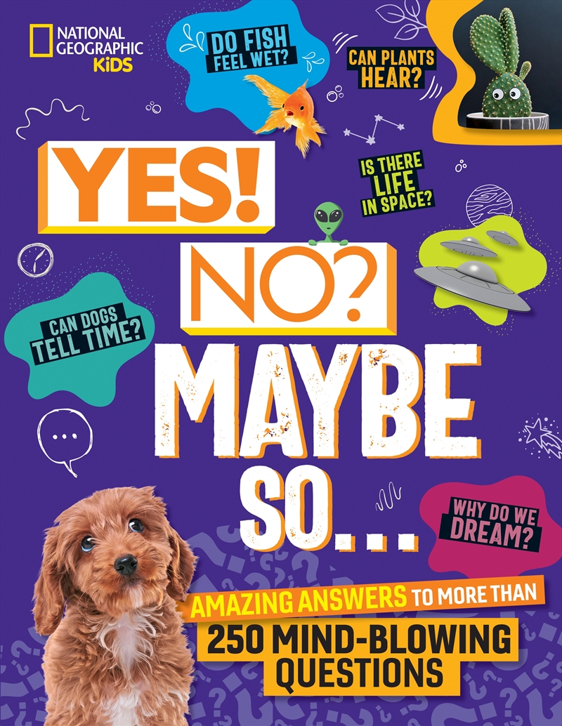 Yes! No? Maybe So...: Amazing Answers to More Than 250 Mind-Blowing Questions/Product Detail/Childrens