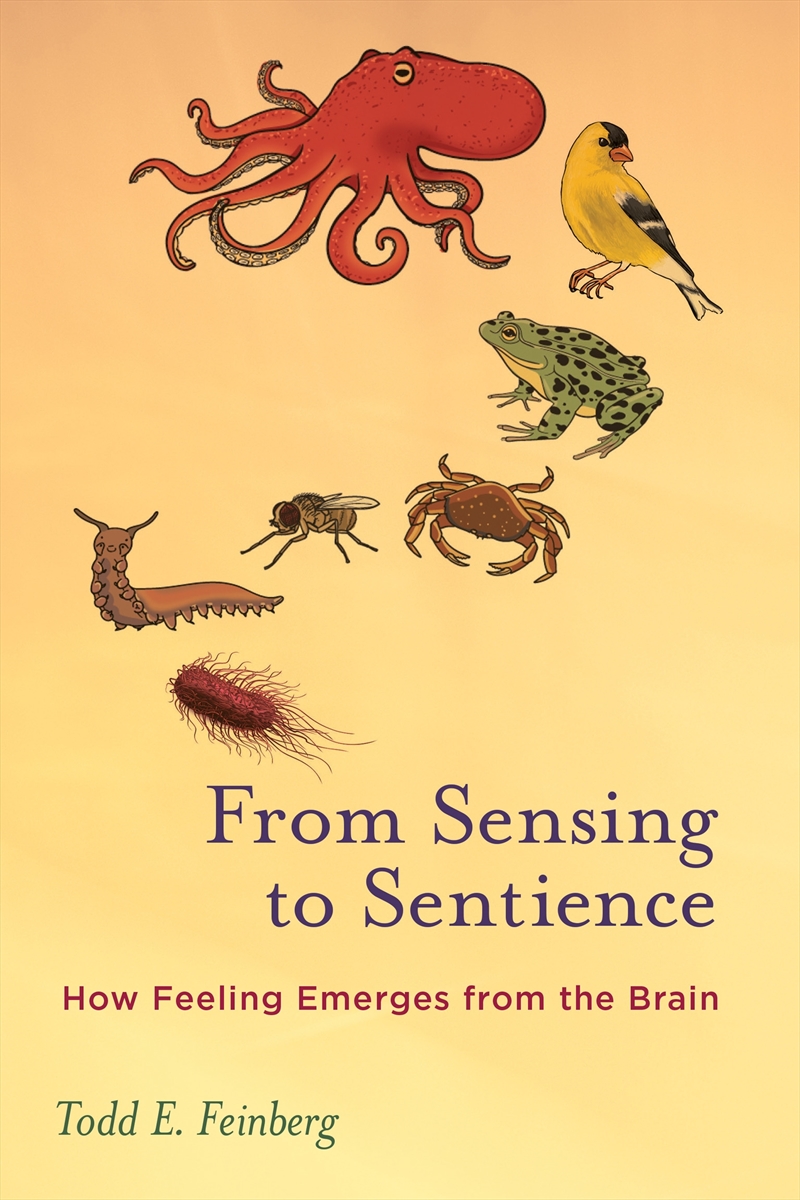 From Sensing To Sentience: How Feeling Emerges From The Brain/Product Detail/Reading