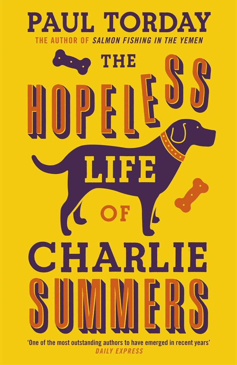 The Hopeless Life Of Charlie Summers/Product Detail/General Fiction Books