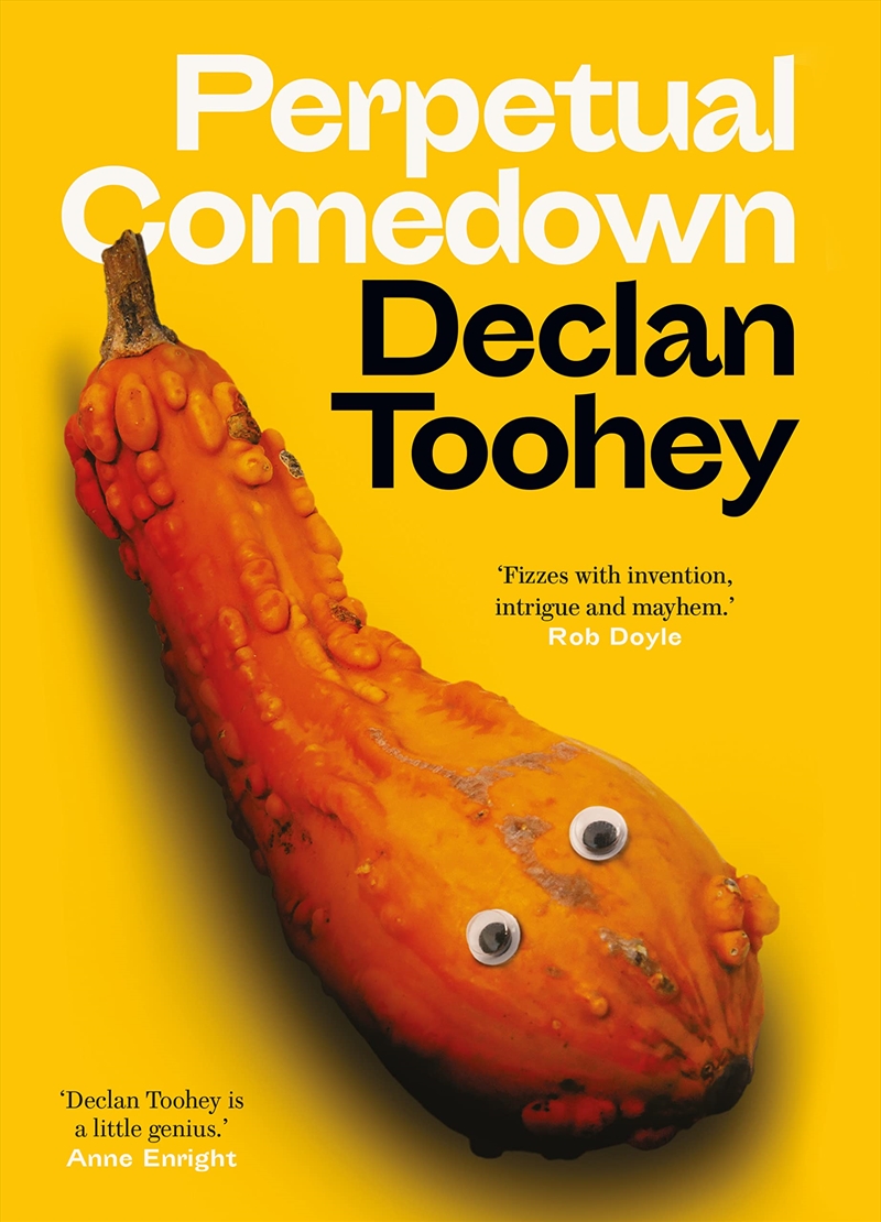 Perpetual Comedown/Product Detail/General Fiction Books