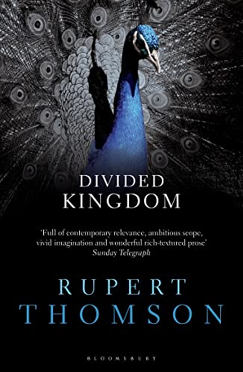 Divided Kingdom/Product Detail/General Fiction Books
