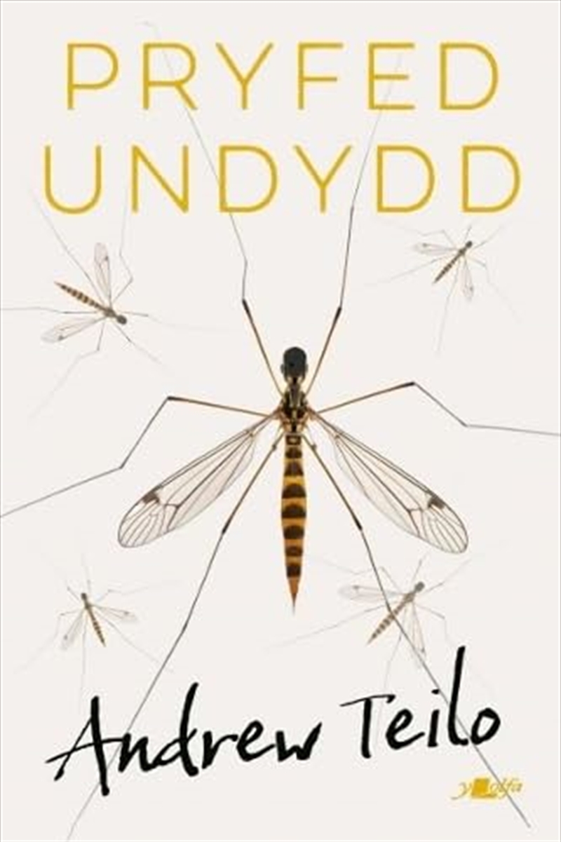 Pryfed Undydd (Paperback)/Product Detail/General Fiction Books