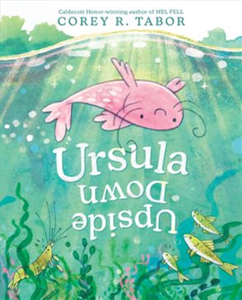 Ursula Upside Down/Product Detail/Early Childhood Fiction Books