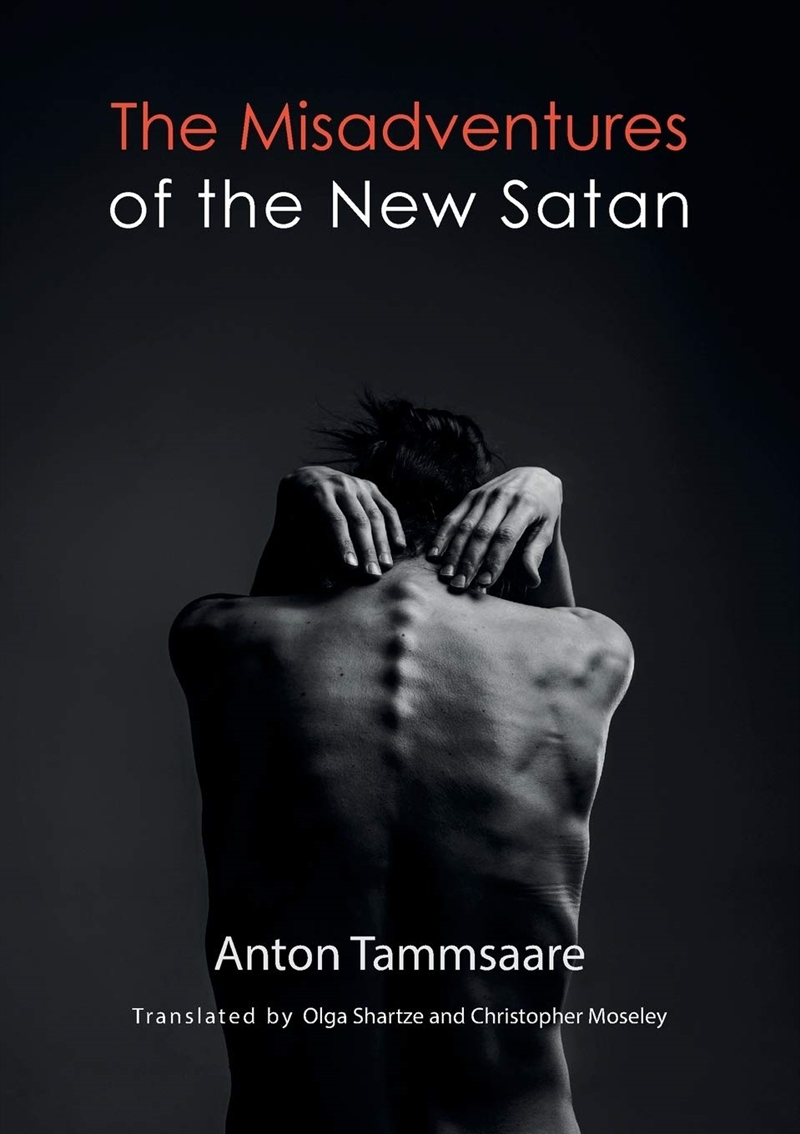 The Misadventures Of The New Satan (B)/Product Detail/General Fiction Books