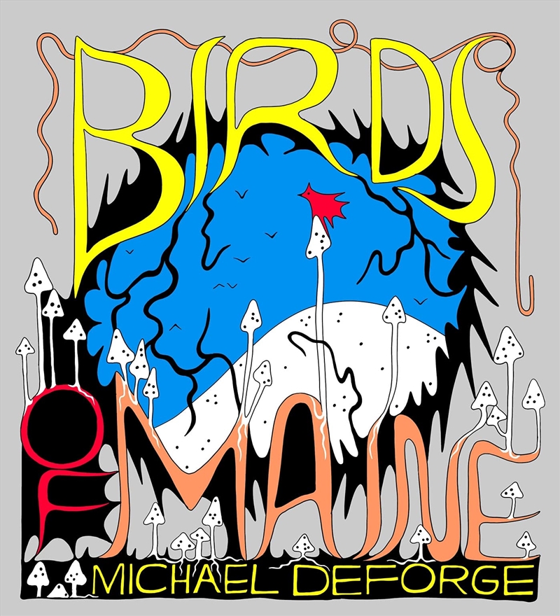 Birds Of Maine/Product Detail/Graphic Novels