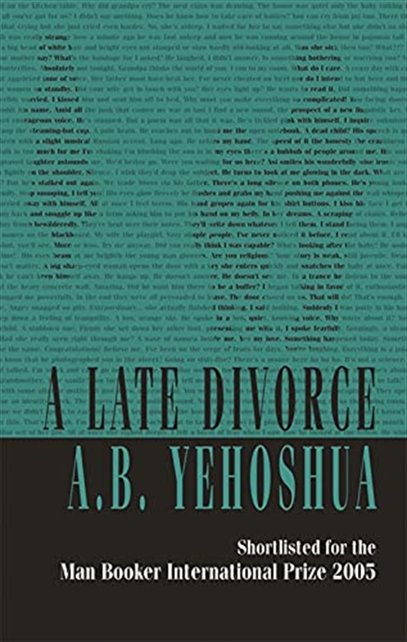 A Late Divorce/Product Detail/General Fiction Books