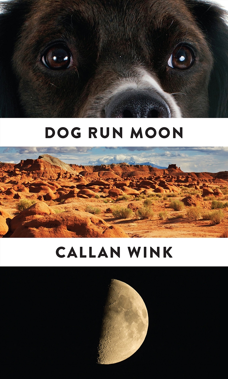 Dog Run Moon: Stories/Product Detail/General Fiction Books