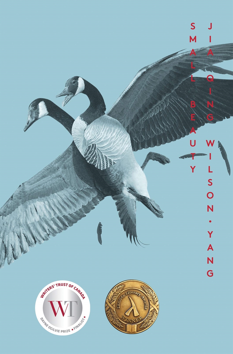 Small Beauty/Product Detail/General Fiction Books