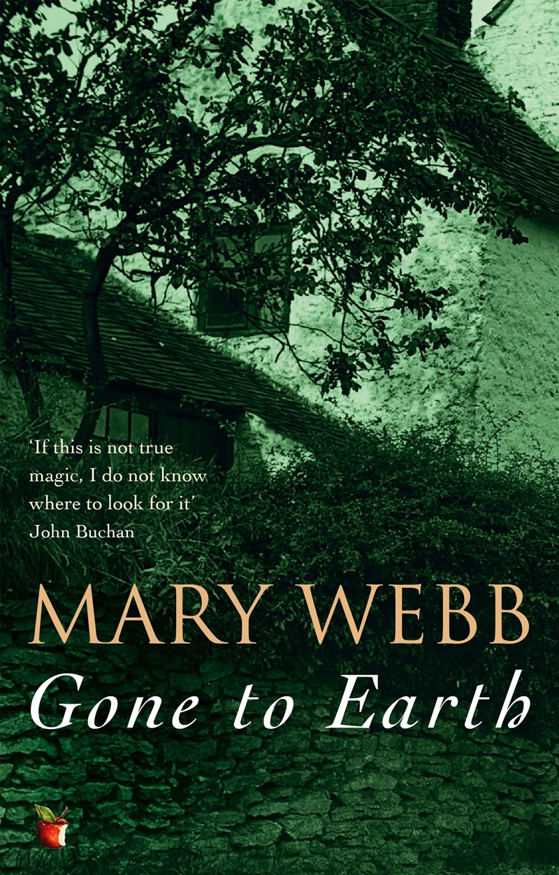 Gone To Earth (Virago Modern Classics)/Product Detail/General Fiction Books